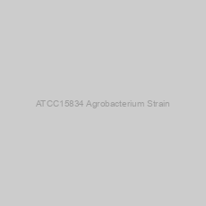 Image of ATCC15834 Agrobacterium Strain